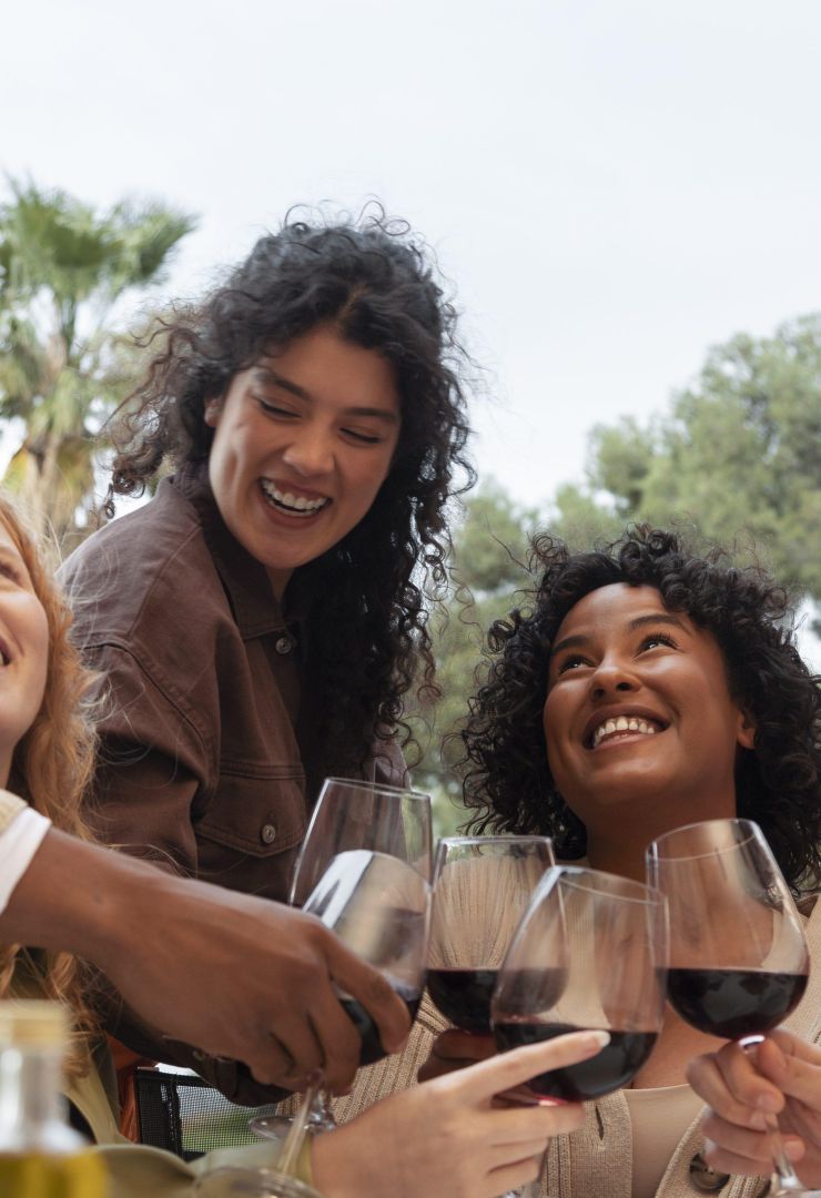 Friends toasting with glasses wine eating barbeque outdoor party